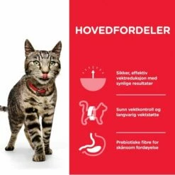 Hill's Science Plan Cat Adult Perfect Weight Chicken -Kjæledyrutstyr Salgsbutikk hills science plan cat perfect weight chicken f3