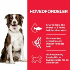 Hill's Science Plan Dog Adult Healthy Mobility Medium Chicken -Kjæledyrutstyr Salgsbutikk hills science plan dog adult healthy mobility medium chicken 49