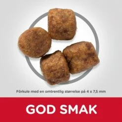 Hill's Science Plan Dog Adult Healthy Mobility Small & Mini Chicken -Kjæledyrutstyr Salgsbutikk hills science plan dog adult healthy mobility small mini a8