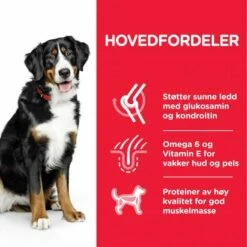 Hill's Science Plan Dog Adult Large Breed Chicken -Kjæledyrutstyr Salgsbutikk hills science plan dog adult large breed chicken bd