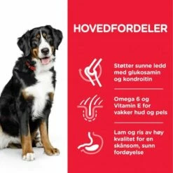 Hill's Science Plan Dog Adult Large Lamb & Rice 14 Kg 11 Hill's Science Plan Dog Adult Large Lamb & Rice 14 Kg -Kjæledyrutstyr Salgsbutikk hills science plan dog adult large breed lamb rice 14 kg 3e