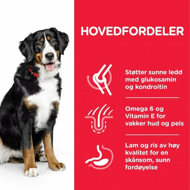 Hill's Science Plan Dog Adult Large Lamb & Rice 14 Kg 6 Hill's Science Plan Dog Adult Large Lamb & Rice 14 Kg - Bilde 4