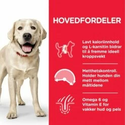 Hill's Science Plan Dog Adult Light Large Breed Chicken -Kjæledyrutstyr Salgsbutikk hills science plan dog adult large breed light chicken 14 kg 8d