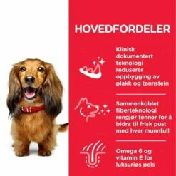 Hill's Science Plan Dog Adult Oral Care Chicken -Kjæledyrutstyr Salgsbutikk hills science plan dog adult medium oral care 50