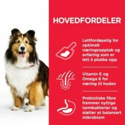 Hill's Science Plan Dog Adult Sensitive Stomach & Skin Medium Chicken -Kjæledyrutstyr Salgsbutikk hills science plan dog adult sensitive stomach skin medium chicken 1b