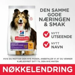 Hill's Science Plan Dog Adult Sensitive Stomach & Skin Medium Chicken -Kjæledyrutstyr Salgsbutikk hills science plan dog adult sensitive stomach skin medium chicken 65