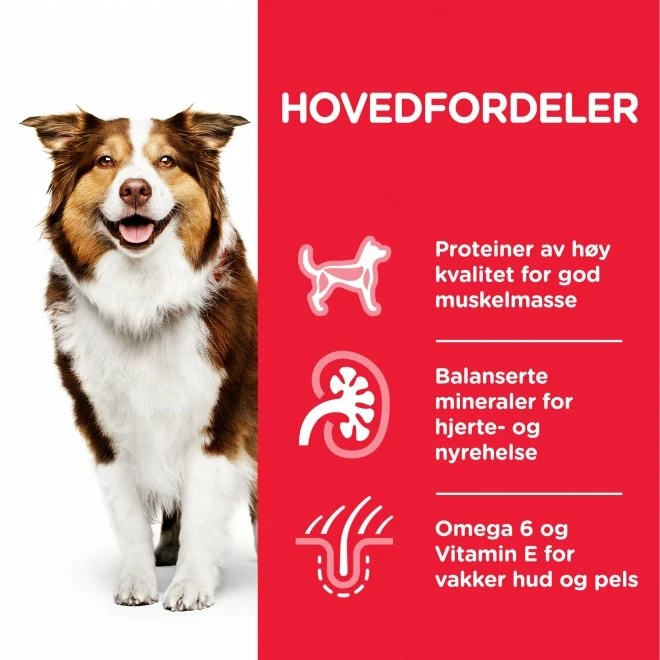 Hill's Science Plan Dog Mature Adult 7+ Medium Chicken 6 Hill's Science Plan Dog Mature Adult 7+ Medium Chicken - Bilde 4