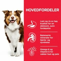 Hill's Science Plan Dog Mature Adult 7+ Medium Lamb & Rice -Kjæledyrutstyr Salgsbutikk hills science plan dog mature 7 medium lamb rice 54