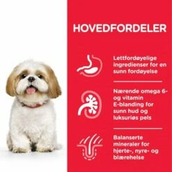 Hill's Science Plan Dog Mature Adult 7+ Small & Mini Chicken -Kjæledyrutstyr Salgsbutikk hills science plan dog mature 7 small mini 7a