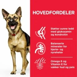 Hill's Science Plan Dog Mature Adult 6+ Large Breed Chicken 14 Kg -Kjæledyrutstyr Salgsbutikk hills science plan dog mature large breed chicken 14 kg 36