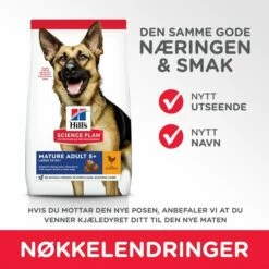 Hill's Science Plan Dog Mature Adult 6+ Large Breed Chicken 14 Kg -Kjæledyrutstyr Salgsbutikk hills science plan dog mature large breed chicken 14 kg b2