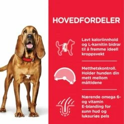 Hill's Science Plan Dog Mature Adult Light Medium Breed Kylling 11 Hill's Science Plan Dog Mature Adult Light Medium Breed Kylling -Kjæledyrutstyr Salgsbutikk hills science plan dog mature light medium chicken 14 kg 04