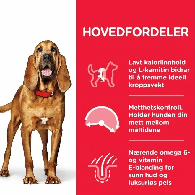 Hill's Science Plan Dog Mature Adult Light Medium Breed Kylling 6 Hill's Science Plan Dog Mature Adult Light Medium Breed Kylling - Bilde 4