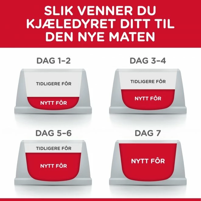 Hill's Science Plan Dog Mature Adult Light Medium Breed Kylling 7 Hill's Science Plan Dog Mature Adult Light Medium Breed Kylling - Bilde 5