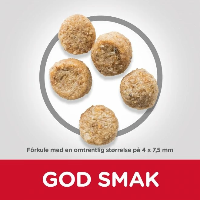 Hill's Science Plan Dog Mature Adult 7+ Light Small & Mini Chicken 5 Hill's Science Plan Dog Mature Adult 7+ Light Small & Mini Chicken - Bilde 3