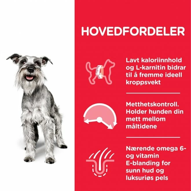 Hill's Science Plan Dog Mature Adult 7+ Light Small & Mini Chicken 6 Hill's Science Plan Dog Mature Adult 7+ Light Small & Mini Chicken - Bilde 4