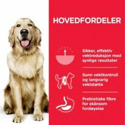 Hill's Science Plan Dog Adult Perfect Weight Large Breed Chicken 12 Kg -Kjæledyrutstyr Salgsbutikk hills science plan dog perfect weight large breed chicken 12kg d4