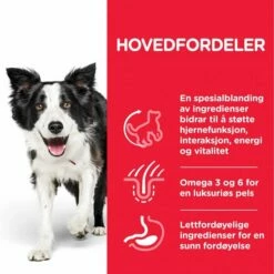 Hill's Science Plan Dog Mature Adult 7+ Senior Vitality Medium Chicken -Kjæledyrutstyr Salgsbutikk hills science plan dog youthful vitality medium 57