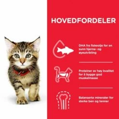 Hill's Science Plan Kitten Tuna -Kjæledyrutstyr Salgsbutikk hills science plan kitten tuna 15 kg a6