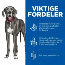 Hill's Science Plan Dog Adult 1+ Large Breed Perfect Digestion Chicken & Brown Rice 14 Kg 7 Hill's Science Plan Dog Adult 1+ Large Breed Perfect Digestion Chicken & Brown Rice 14 Kg -Kjæledyrutstyr Salgsbutikk hills science plan perfect digestion large breed adult 1 dog food chicken brown rice 0f