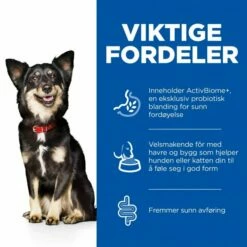 Hill's Science Plan Dog Adult 1+ Small & Mini Perfect Digestion Chicken & Brown Rice -Kjæledyrutstyr Salgsbutikk hills science plan perfect digestion small mini adult 1 dog food chicken brown rice 82