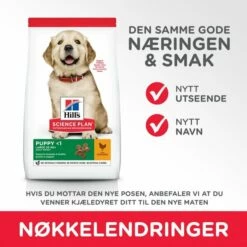 Hill's Science Plan Puppy Large Breed Chicken -Kjæledyrutstyr Salgsbutikk hills science plan puppy large breed chicken 145 kg d1