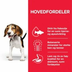 Hill's Science Plan Puppy Medium Lamb & Rice -Kjæledyrutstyr Salgsbutikk hills science plan puppy medium lamb rice 3e