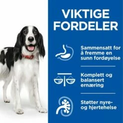 Hill's Science Plan Canine Adult Healthy Cuisine Chicken & Beef 12x90 G -Kjæledyrutstyr Salgsbutikk hills sp canine ad healthy cuisine stews ch bf az b1