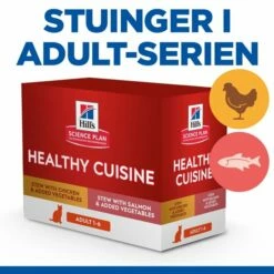 Hill's Science Plan Feline Adult Healthy Cuisine Chicken & Salmon 12x80 G