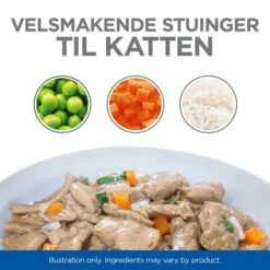 Hill's Science Plan Feline Adult Healthy Cuisine Chicken & Salmon 12x80 G 12 Hill's Science Plan Feline Adult Healthy Cuisine Chicken & Salmon 12x80 G -Kjæledyrutstyr Salgsbutikk hills sp feline adult healthy cuisine stews ch sa az 41