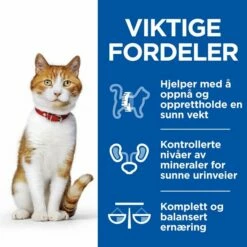 Hill's Science Plan Feline Adult Sterilised Healthy Cuisine Mixed Stews 12x80 G -Kjæledyrutstyr Salgsbutikk hills sp feline young ad ster hc mix stews az 9a