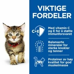 Hill's Science Plan Kitten Healthy Cuisine Chicken/Ocean Fish & Vegetables 12x80 G 11 Hill's Science Plan Kitten Healthy Cuisine Chicken/Ocean Fish & Vegetables 12x80 G -Kjæledyrutstyr Salgsbutikk hills sp kitten healthy cuisine stews ch fi az 08