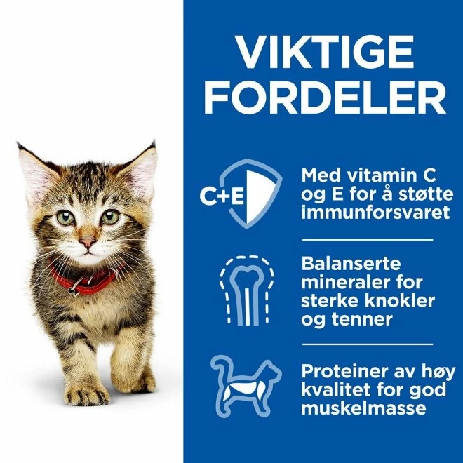 Hill's Science Plan Kitten Healthy Cuisine Chicken/Ocean Fish & Vegetables 12x80 G 5 Hill's Science Plan Kitten Healthy Cuisine Chicken/Ocean Fish & Vegetables 12x80 G - Bilde 3