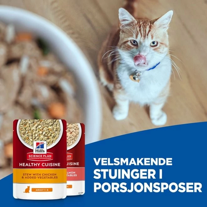 Hill's Science Plan Kitten Healthy Cuisine Chicken/Ocean Fish & Vegetables 12x80 G 8 Hill's Science Plan Kitten Healthy Cuisine Chicken/Ocean Fish & Vegetables 12x80 G - Bilde 6