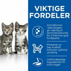 Hill's Science Plan Kitten Perfect Digestion Chicken -Kjæledyrutstyr Salgsbutikk hills sp kitten perfect digestion ch az 3c