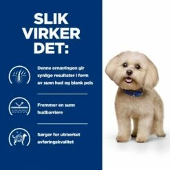 Hill's Prescription Diet Canine Z/d Food Sensitivities Mini Original -Kjæledyrutstyr Salgsbutikk hills z d mini dog food az 9a