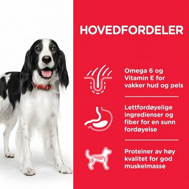 Hill's Science PlanAdult Medium Chicken 2 X 14kg 4 Hill's Science PlanAdult Medium Chicken 2 X 14kg - Bilde 2