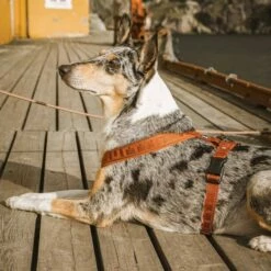 Hurtta Casual Y-sele Brun -Kjæledyrutstyr Salgsbutikk hurtta casual pehmustetut y valjaat kaneli az 44