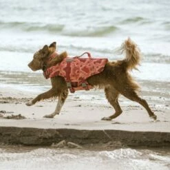 Hurtta Life Savior ECO Redningsvest Korall -Kjæledyrutstyr Salgsbutikk hurtta eco flytvast korall 23