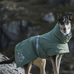 Hurtta Extreme Warmer ECO Hundejakke Grønn -Kjæledyrutstyr Salgsbutikk hurtta extreme warmer eco takki pensas az 2e
