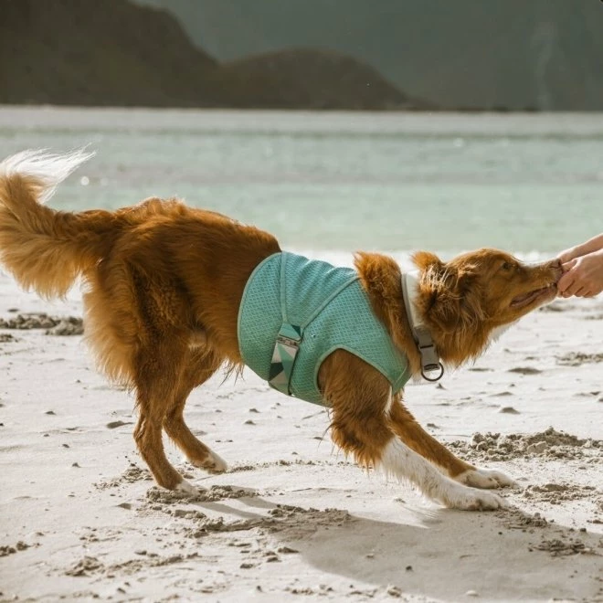 Hurtta Kjølevest Lyseblå 3 Hurtta Kjølevest Lyseblå