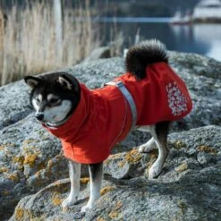 Hurtta Monsoon Eco Regnjakke Nype -Kjæledyrutstyr Salgsbutikk hurtta monsoon eco regnjacka nypon 61