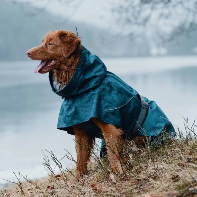 Hurtta Monsoon Hundejakke Blå 6 Hurtta Monsoon Hundejakke Blå - Bilde 4