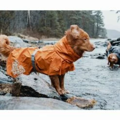 Hurtta Monsoon Regndekken Orange 9 Hurtta Monsoon Regndekken Orange -Kjæledyrutstyr Salgsbutikk hurtta monsoon sadetakki tyrni a0