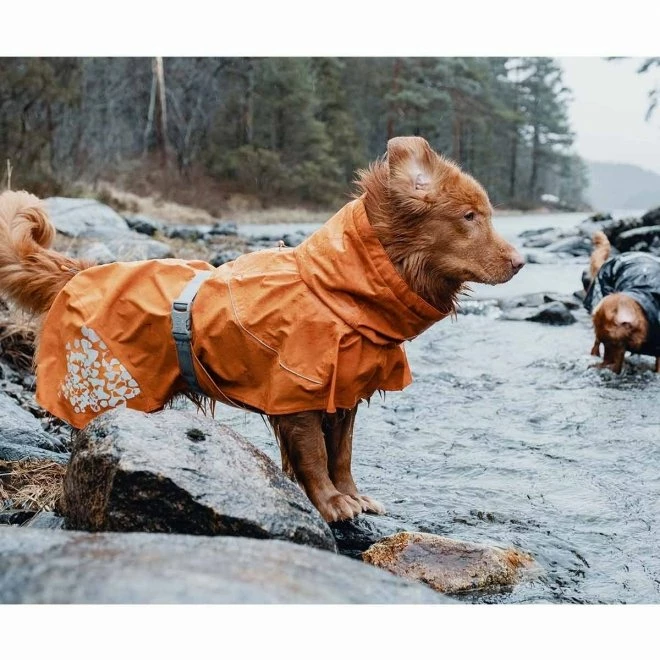 Hurtta Monsoon Regndekken Orange 6 Hurtta Monsoon Regndekken Orange - Bilde 4