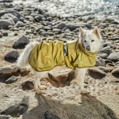 Hurtta Mudventure Regnjakke Reflekterende Gul -Kjæledyrutstyr Salgsbutikk hurtta mudventure regnjacka reflekterande gul c4