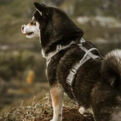 Hurtta Venture No-Pull Hundesele Grå -Kjæledyrutstyr Salgsbutikk hurtta venture koiran valjaat harmaa az 91