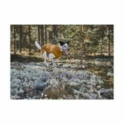 Hurtta Warming Midlayer ECO Hundegenser Gul -Kjæledyrutstyr Salgsbutikk hurtta warming midlayer eco hundtroja senapsgul 74