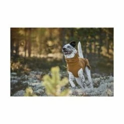 Hurtta Warming Midlayer ECO Hundegenser Gul -Kjæledyrutstyr Salgsbutikk hurtta warming midlayer eco hundtroja senapsgul b1