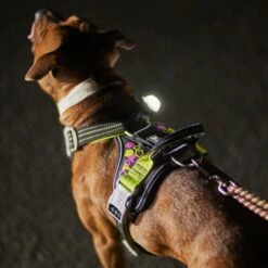 Hurtta Weekend Warrior Hundesele Neon & Sort -Kjæledyrutstyr Salgsbutikk hurtta weekend warrior hundsele neonsvart a0